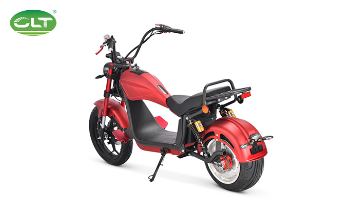 Electric Bike-1